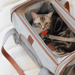 Paw Portal Uçak İçi Köpek Taşıma Çantası - MeanYou