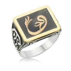 Bague pour homme Silver Tulip Vav