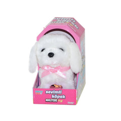 47100 Cute Dog Maltese -Sunman