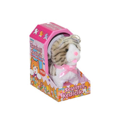 47240 Cute Kitten Jamina