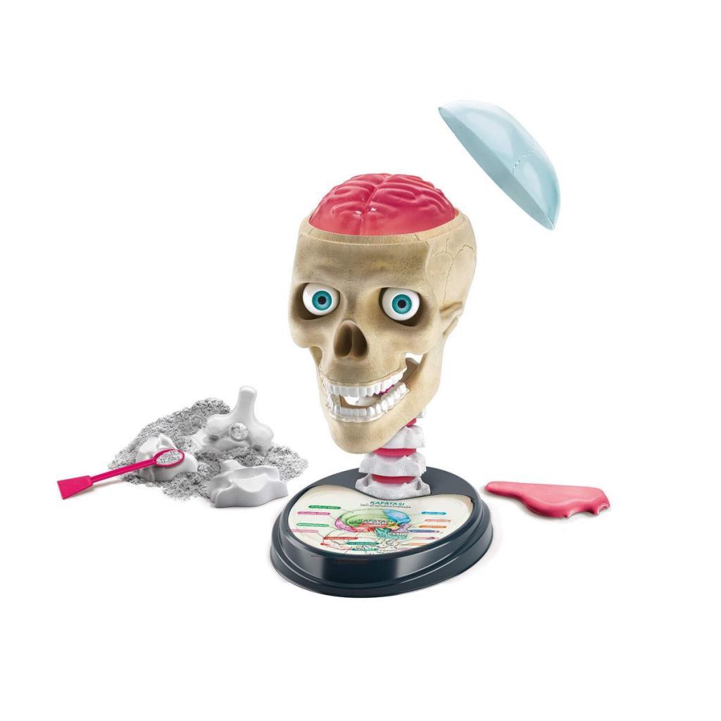 64322 Science and Games - Crazy Anatomy +7 years old