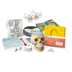 64322 Science and Games - Crazy Anatomy +7 years old
