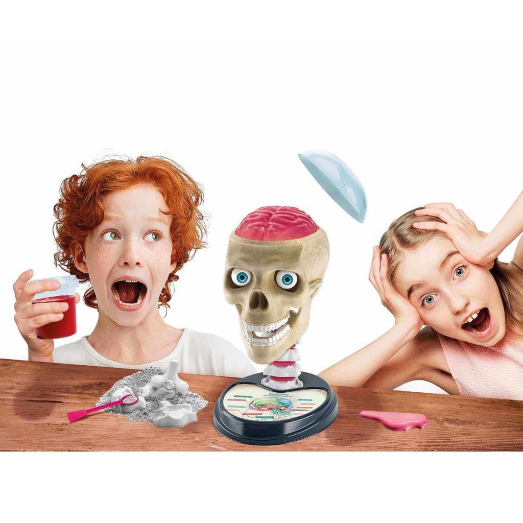 64322 Science and Games - Crazy Anatomy +7 years old