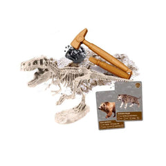 Nessiworld 64839 Science and Gaming - History of Life on Earth