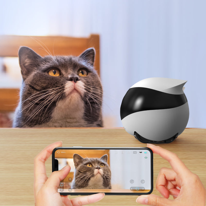 Meanyou Hareketli Ev Kamerası Ebo  Güvenlik Kamerası 1080p Otomatik Şarj, Gece Görüşü, Evcil Hayvan/Yaşlı/Bebek İçin Kablosuz Kamera, Çift Yönlü Konuşma, Uygulama Kontrolü