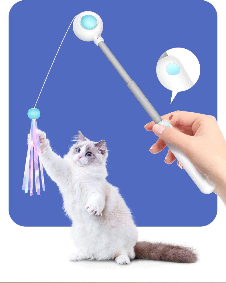 Paw Portal Geri Çekilebilir Esnek Kedi Değnek Oyuncağı