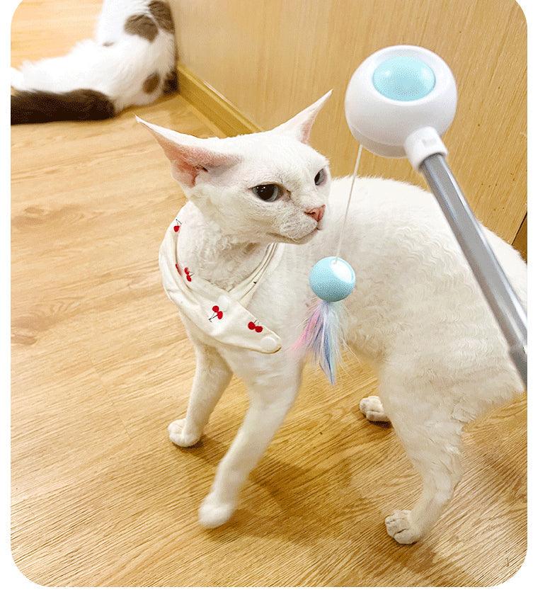 Paw Portal Geri Çekilebilir Esnek Kedi Değnek Oyuncağı