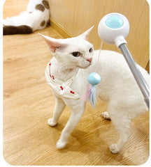 Paw Portal Geri Çekilebilir Esnek Kedi Değnek Oyuncağı