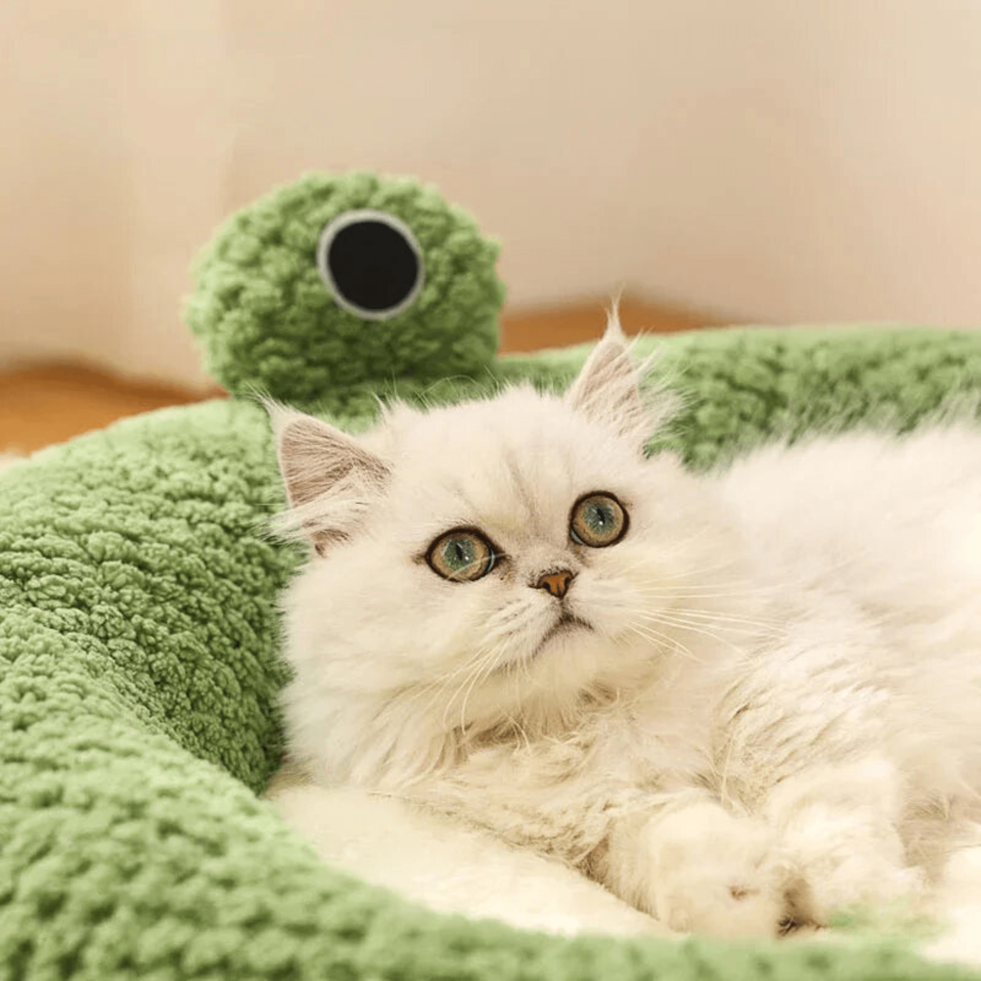 Paw Portal Frog Cat Bed - 3 Options 