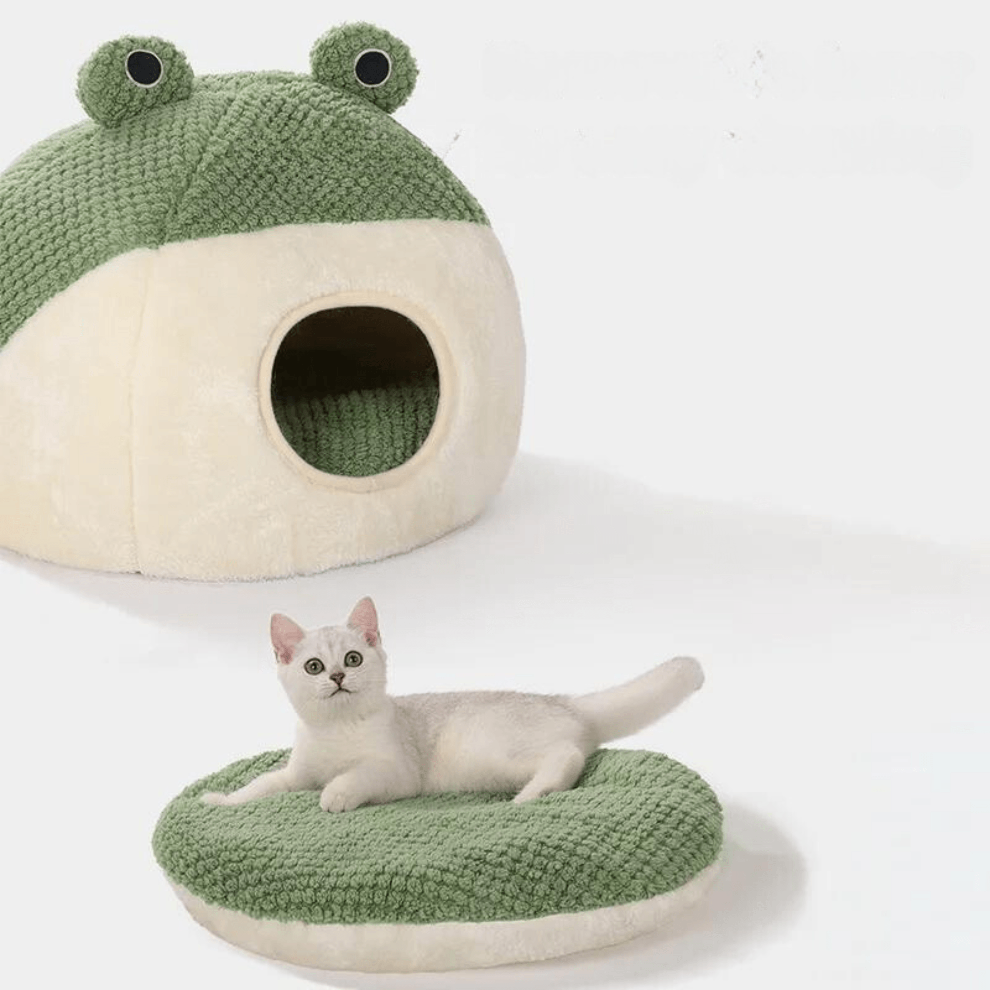 Paw Portal Frog Cat Bed - 3 Options 