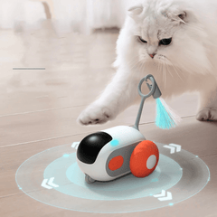 Paw Portal Remote Control Car Cat Toy