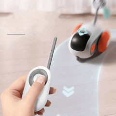 Paw Portal Remote Control Car Cat Toy