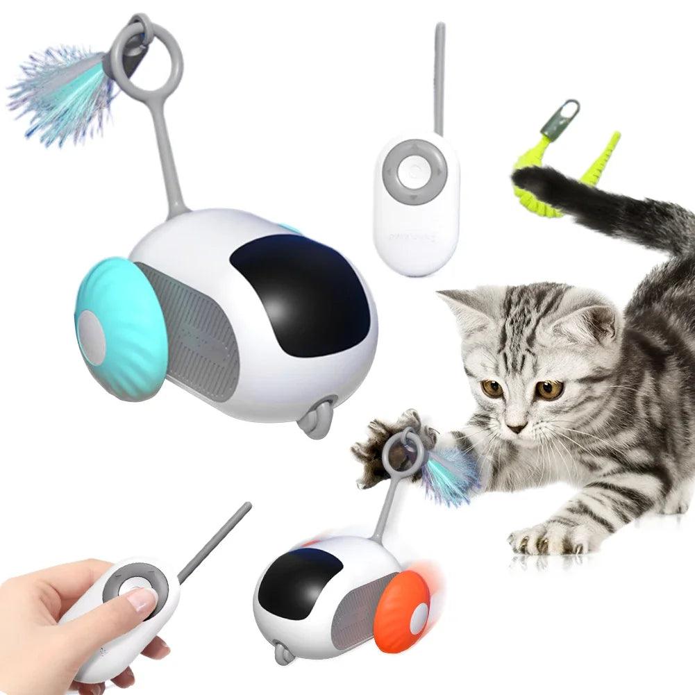 Paw Portal Remote Control Car Cat Toy