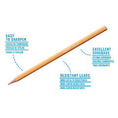 Nessiworld Carioca Pastel Color Crayons 12 Pieces