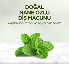 Nessiworld Eyüp Sabri Tuncer Dentifrice Naturel 90 Gr Extrait de Menthe