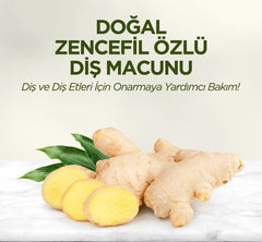 Nessiworld Eyüp Sabri Tuncer Doğal Diş Macunu 90 Gr Zencefil Özlü