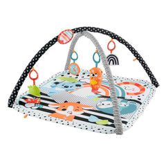 HBP41 Fisher-Price® Funny Animals 3-in-1 Gym