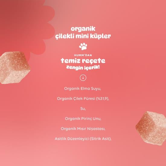 Nessiworld Humm Organik Çilekli Glutensiz Vegan Mini Küpler 30 Gr