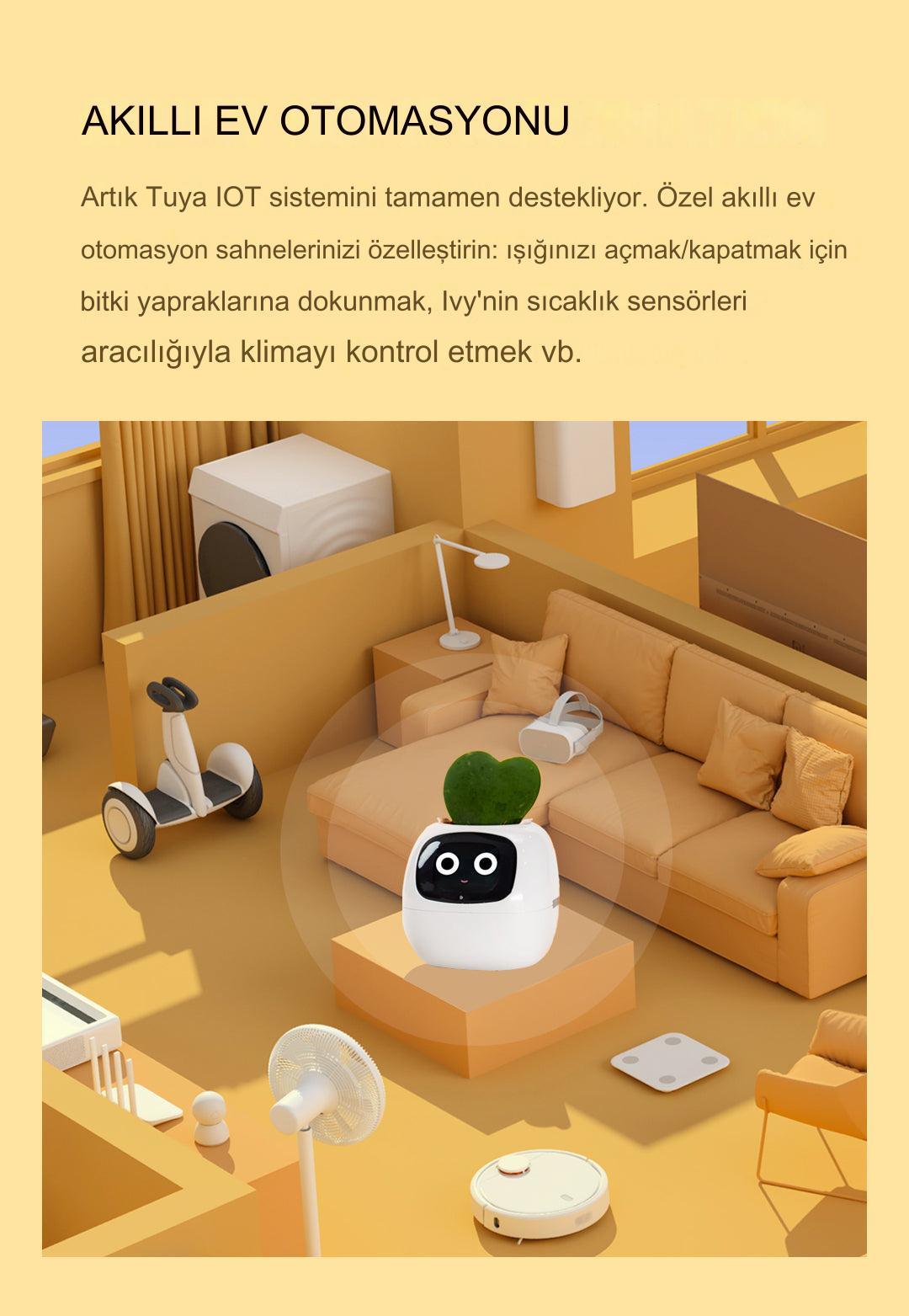 Meanyou Akıllı Saksı - MeanYou