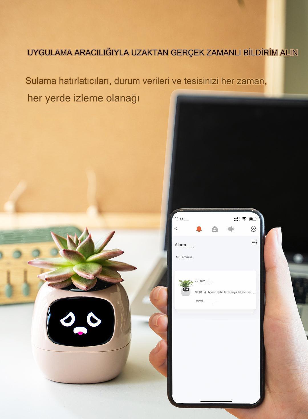 Meanyou Akıllı Saksı - MeanYou