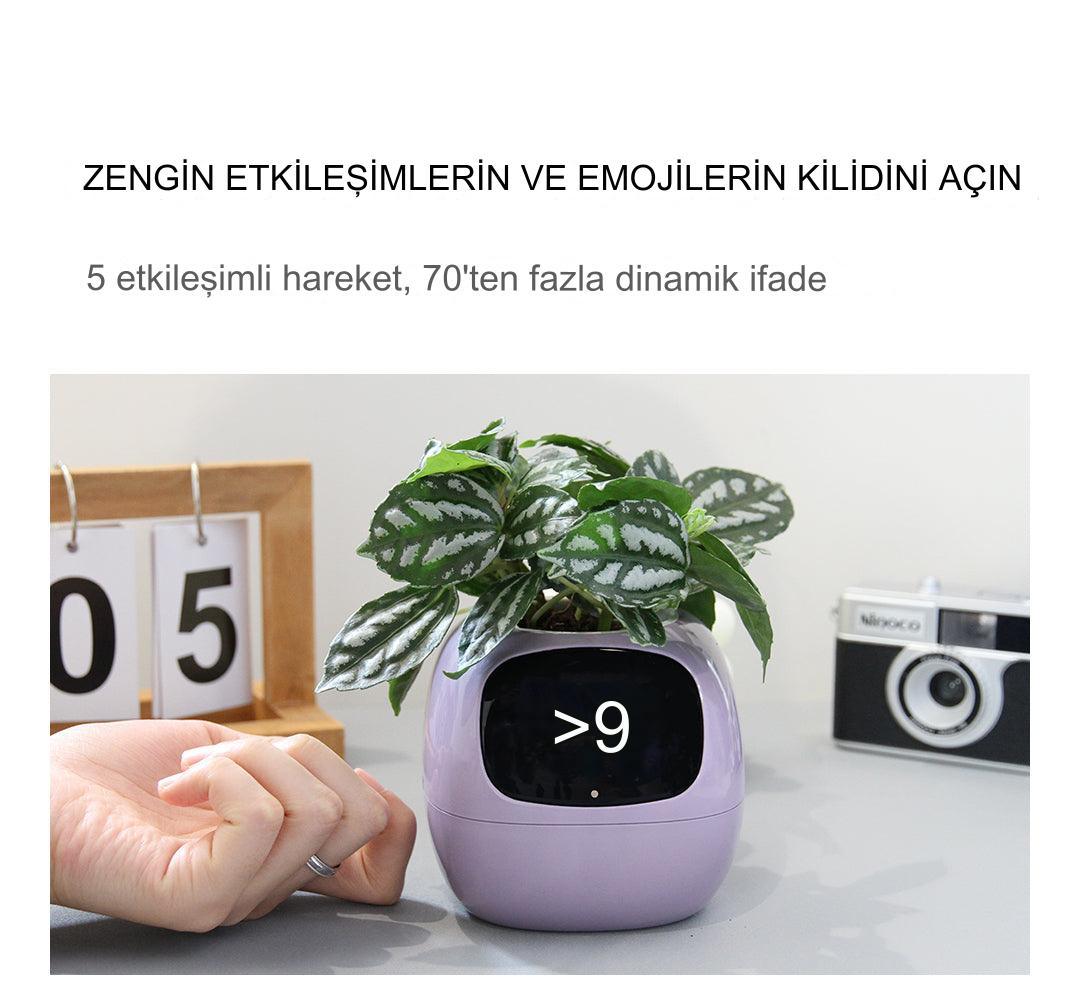 Meanyou Akıllı Saksı - MeanYou