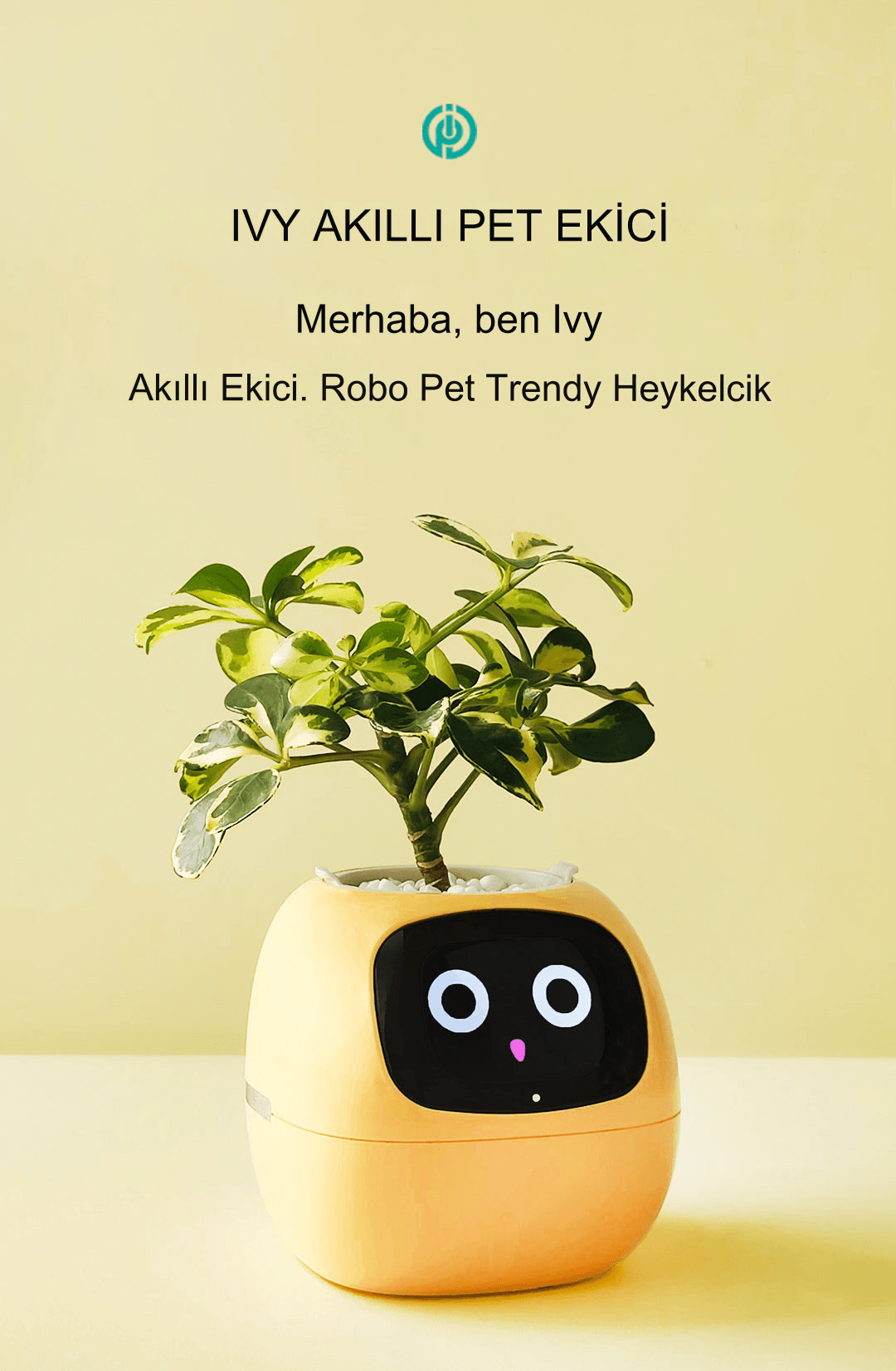 Meanyou Akıllı Saksı - MeanYou