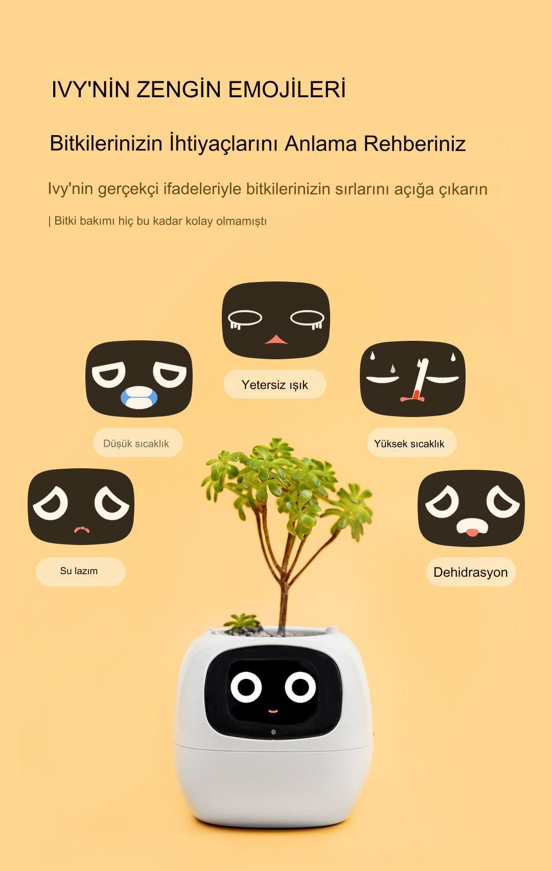 Meanyou Akıllı Saksı - MeanYou