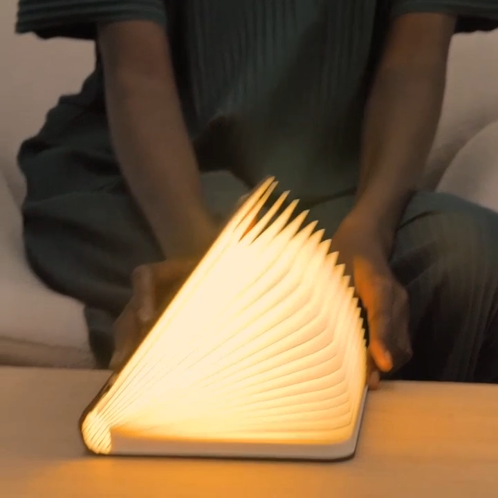 Meanyou Kitap Lamba - MeanYou