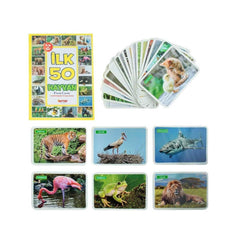 NessiWorld 1352FlashCardsTop50Animals-Dıytoy