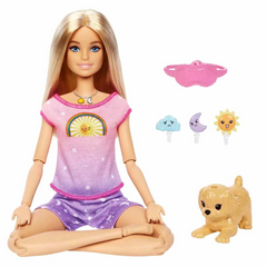 Nessiworld Barbie Meditating Playset HHX64
