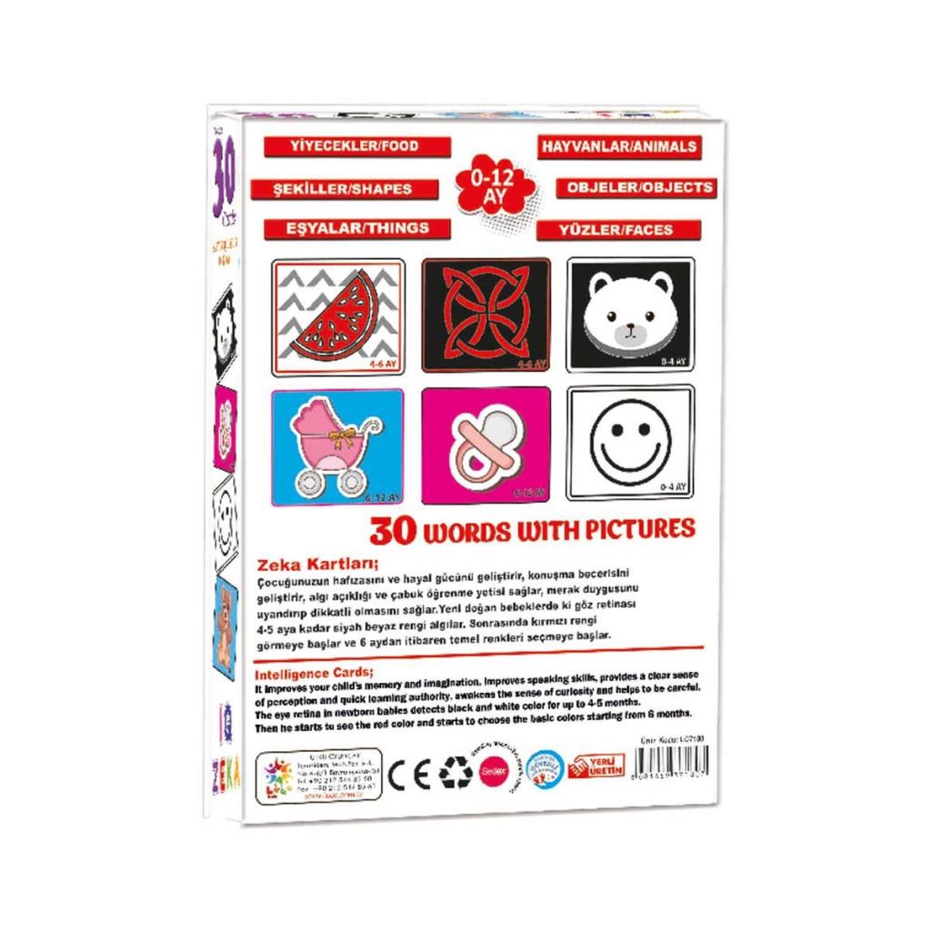 Cartes d'intelligence Nessiworld Baby IQ