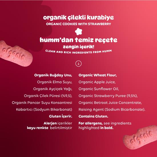 Nessiworld Humm Organik Vegan Çilekli Kurabiye 55 Gr
