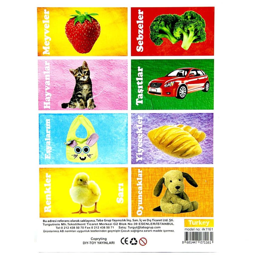 Nessiworld First 50 Words Educational Flash Card Game