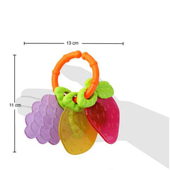 Nessiworld LC Fruit Teether Rattle