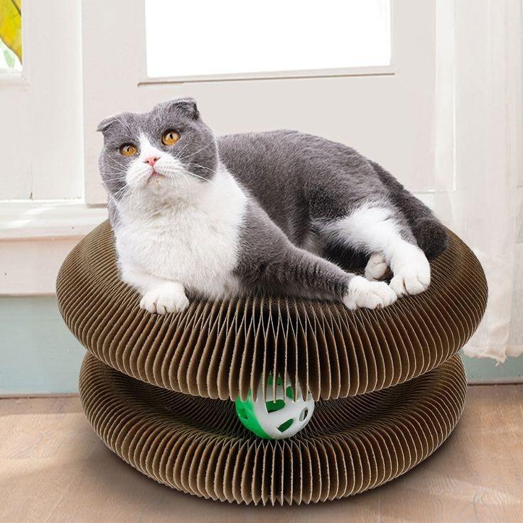 Paw Portal Çok Fonksiyonlu Kedi Tırmalama Oyuncağı - MeanYou