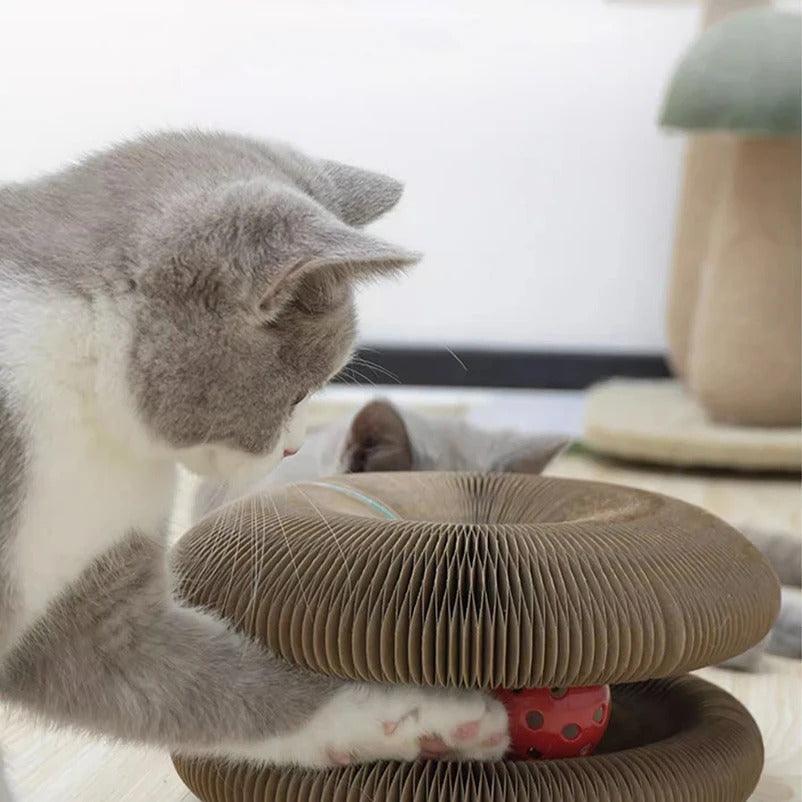 Paw Portal Çok Fonksiyonlu Kedi Tırmalama Oyuncağı - MeanYou