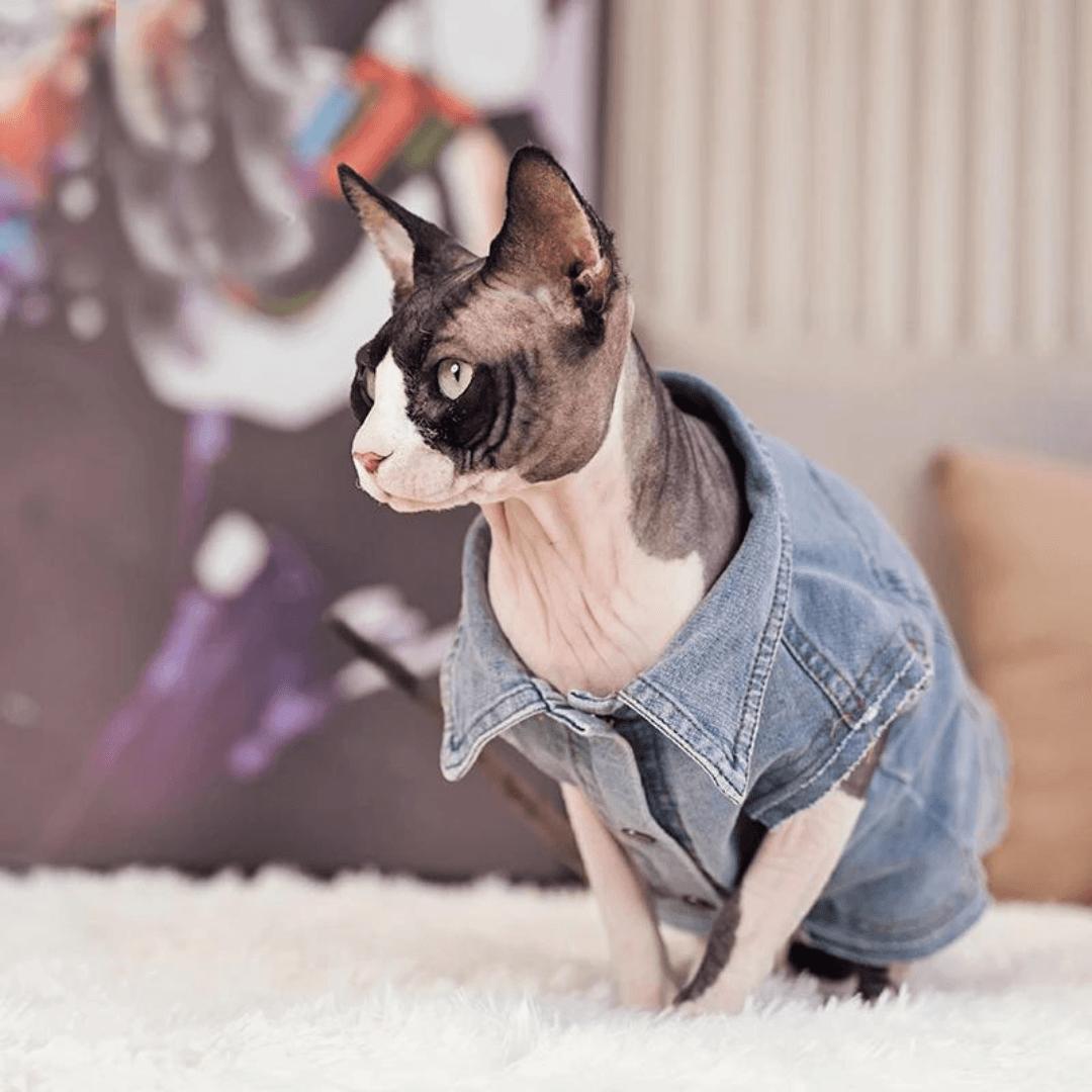 Paw Portal Denim Ceket Kedi Kıyafeti - MeanYou