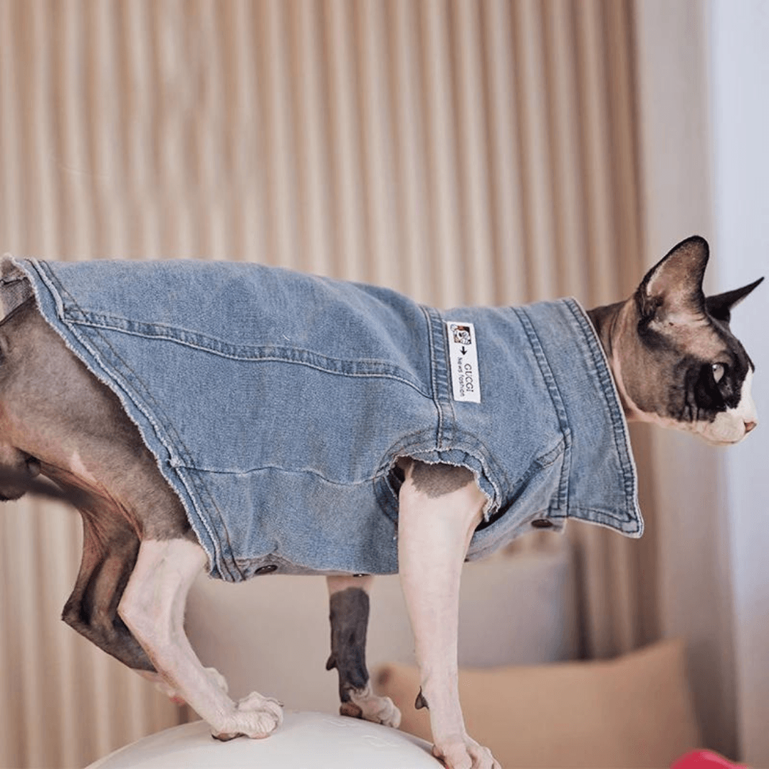 Paw Portal Denim Ceket Kedi Kıyafeti - MeanYou