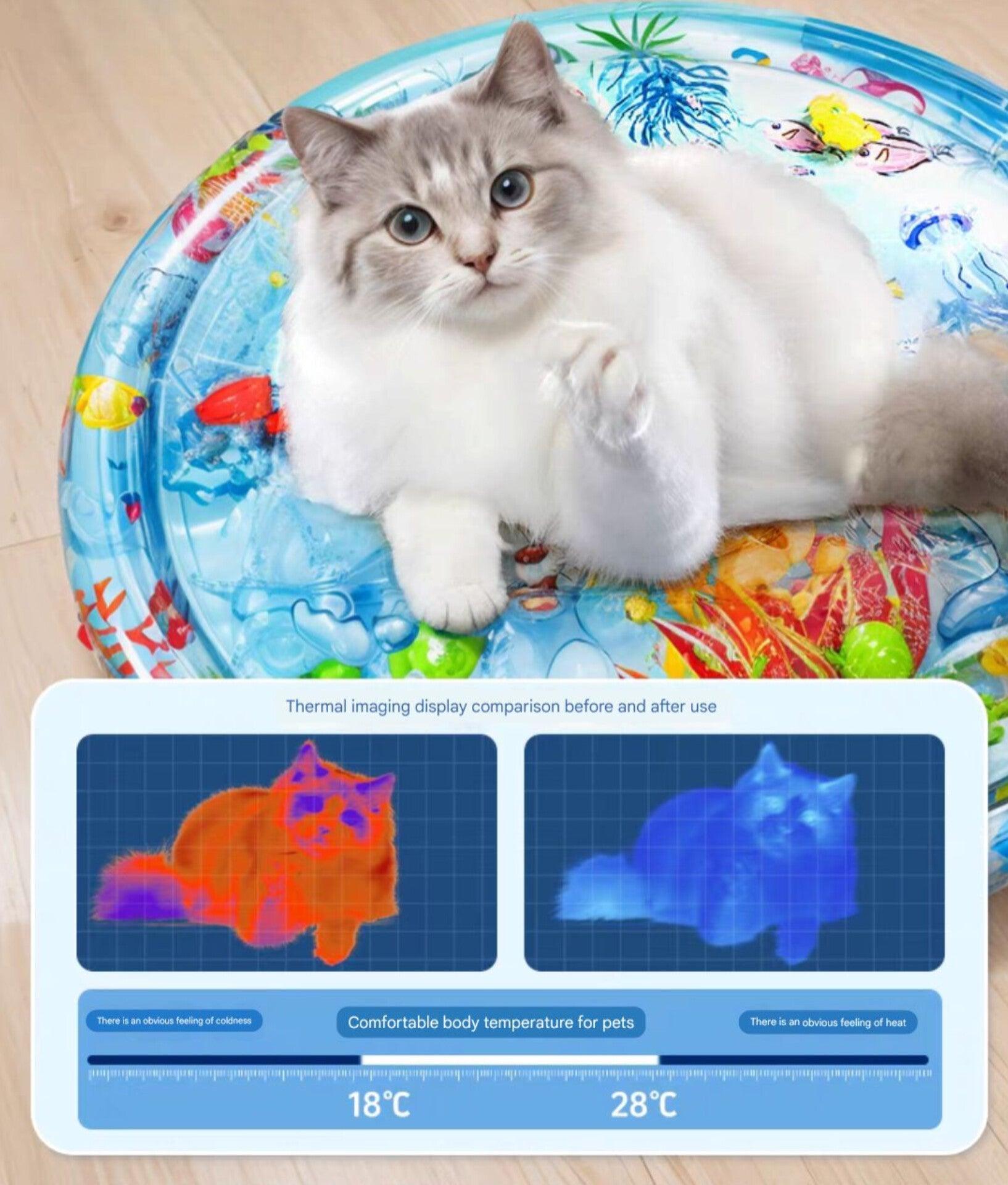 Paw Portal Evcil Hayvanlar İçin Şişme Su Oyun Matı - MeanYou