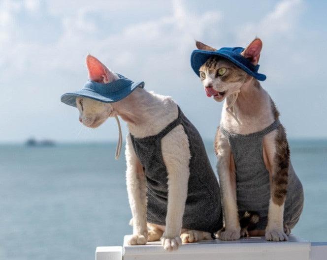 Paw Portal Güneş Koruyucu Kedi Şapkası - MeanYou