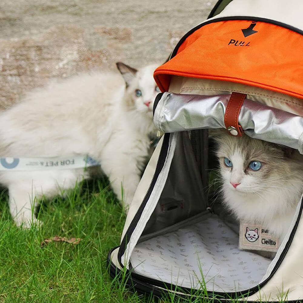 Paw Portal Kedi Köpek Açılabilir Büyük Seyahat Çantası - MeanYou