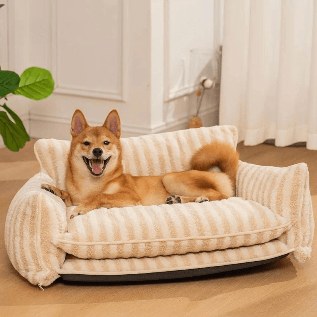 Paw Portal Kedi Köpek Koltuğu - MeanYou