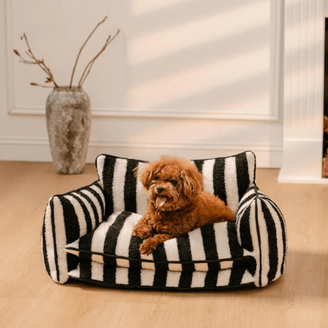 Paw Portal Kedi Köpek Koltuğu - MeanYou