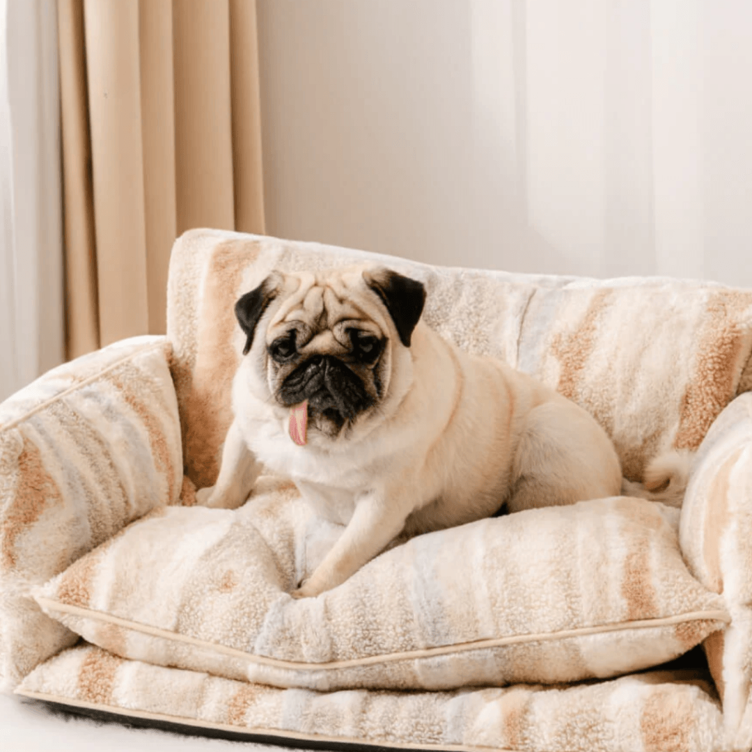 Paw Portal Kedi Köpek Koltuğu - MeanYou