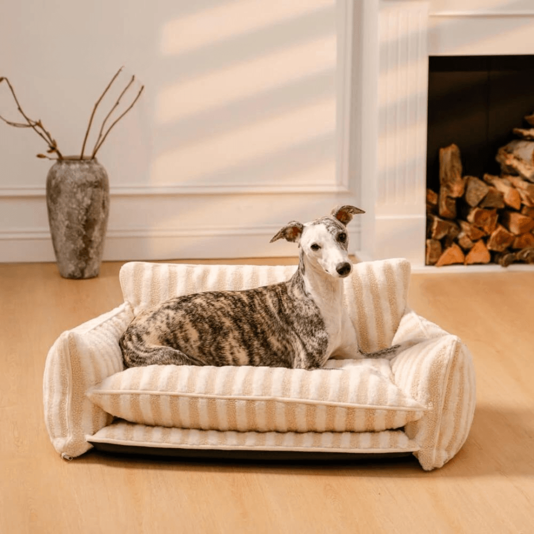 Paw Portal Kedi Köpek Koltuğu - MeanYou