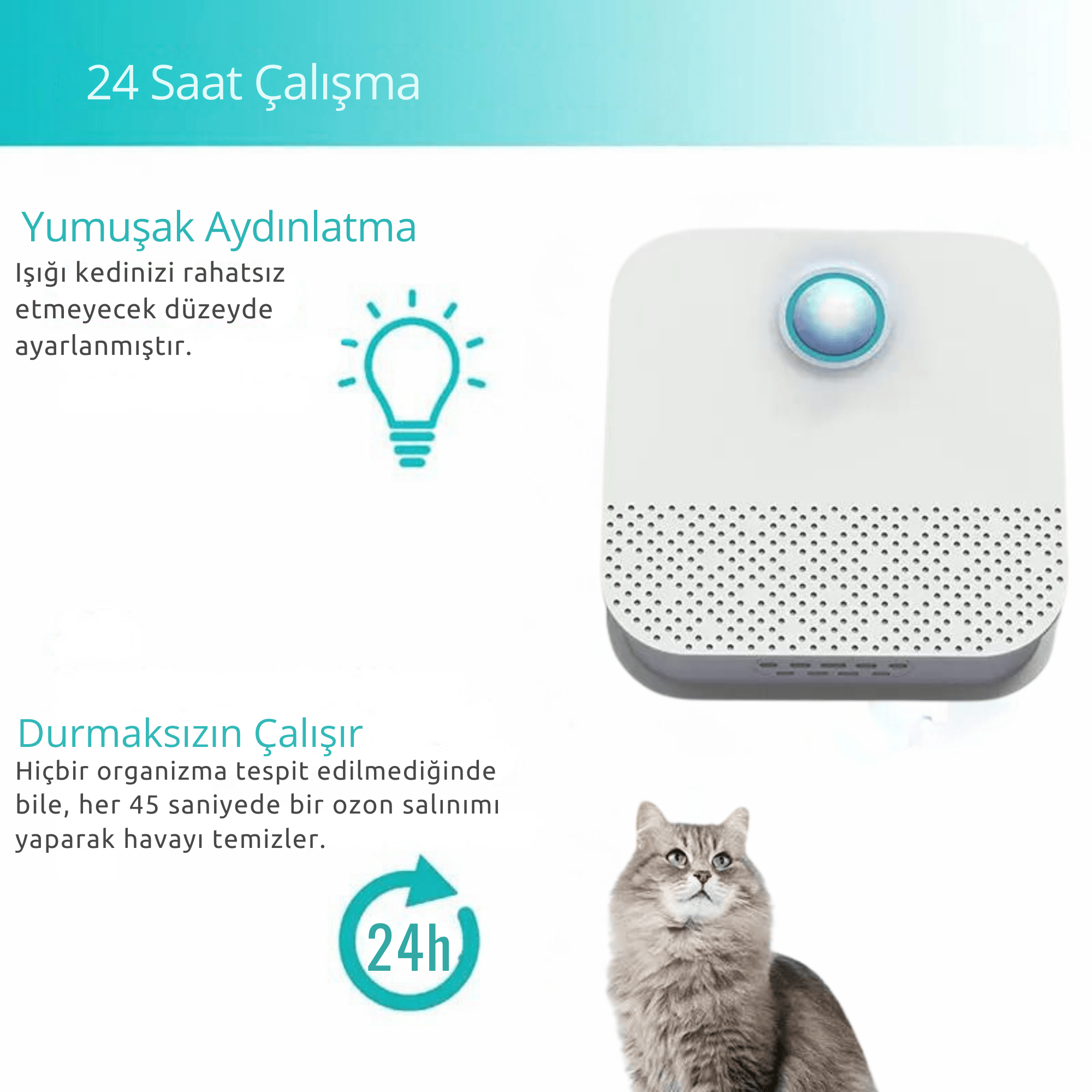 Paw Portal Kedi Kumu Kabı Koku Giderici - MeanYou
