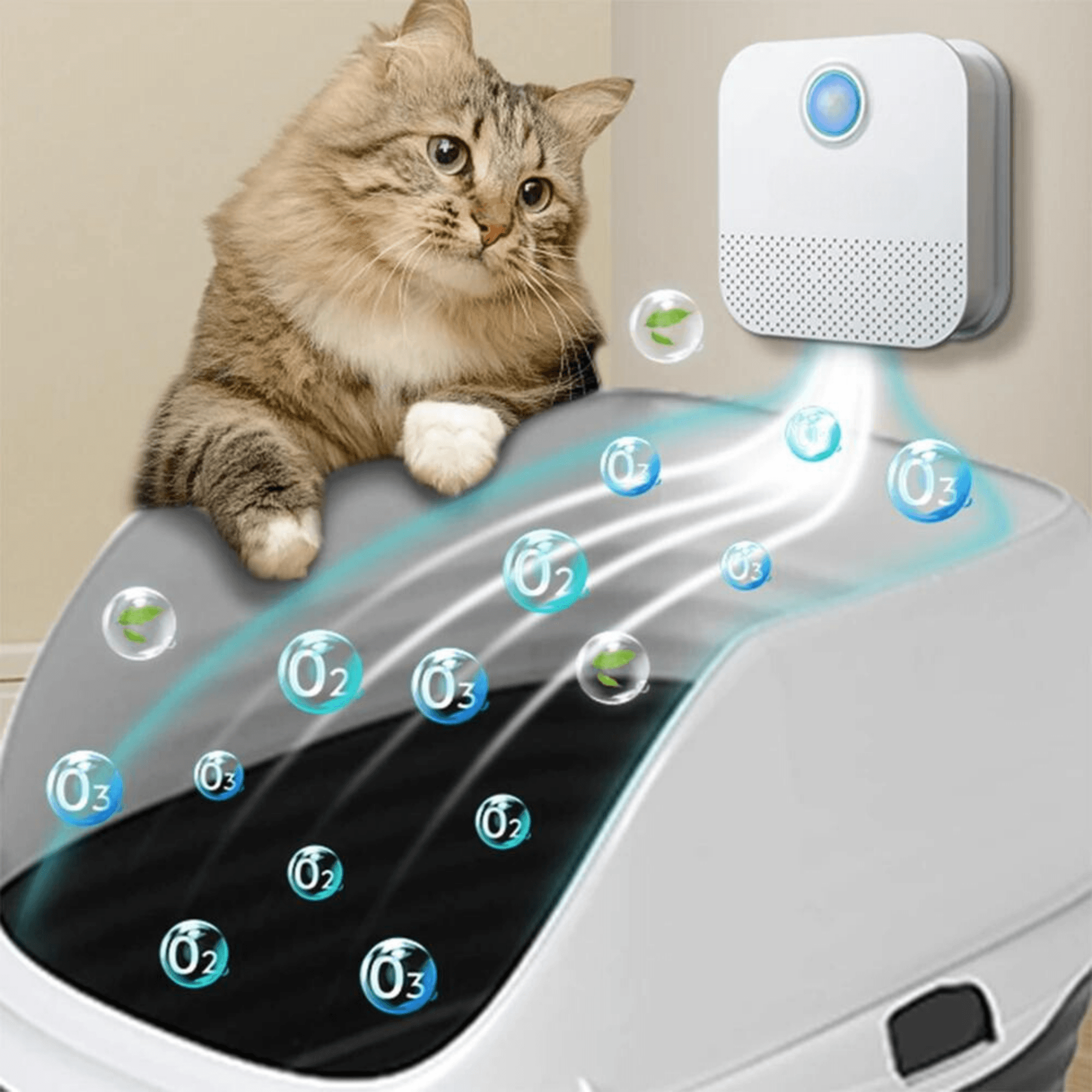 Paw Portal Kedi Kumu Kabı Koku Giderici - MeanYou