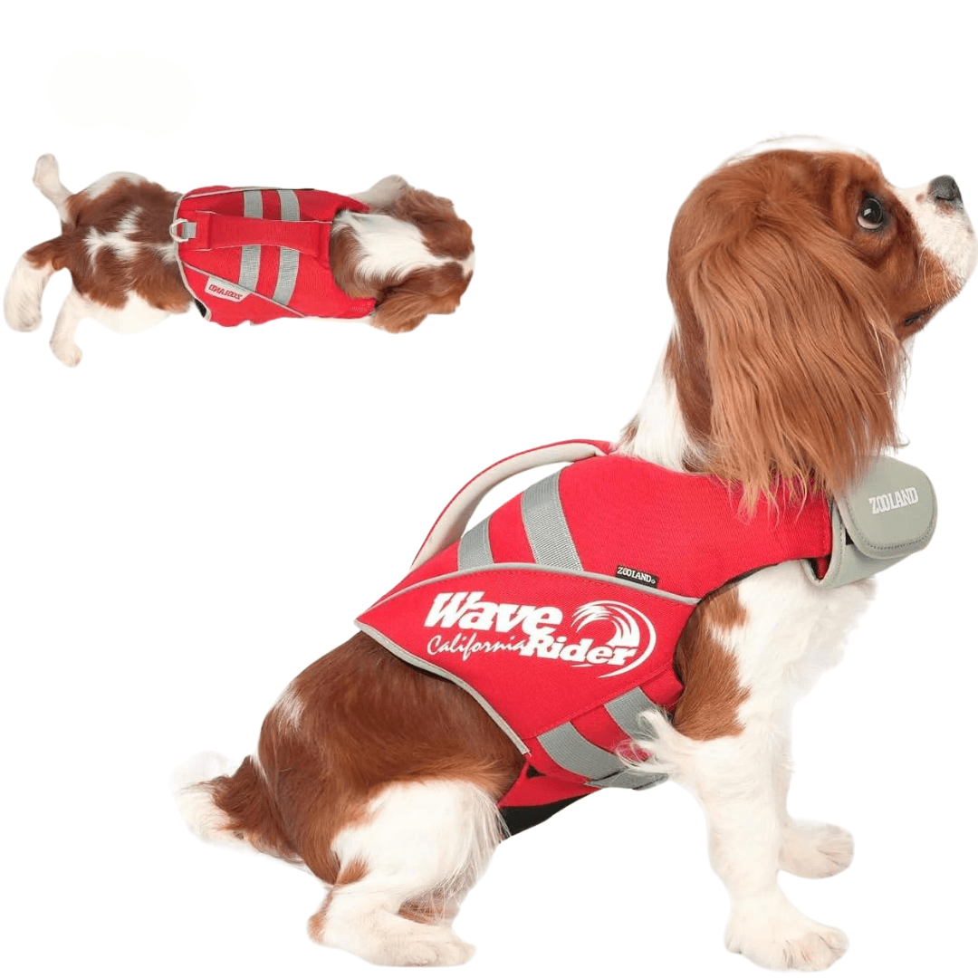 Paw Portal Köpek Can Yeleği - MeanYou