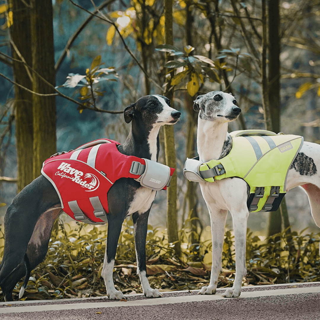 Paw Portal Köpek Can Yeleği - MeanYou