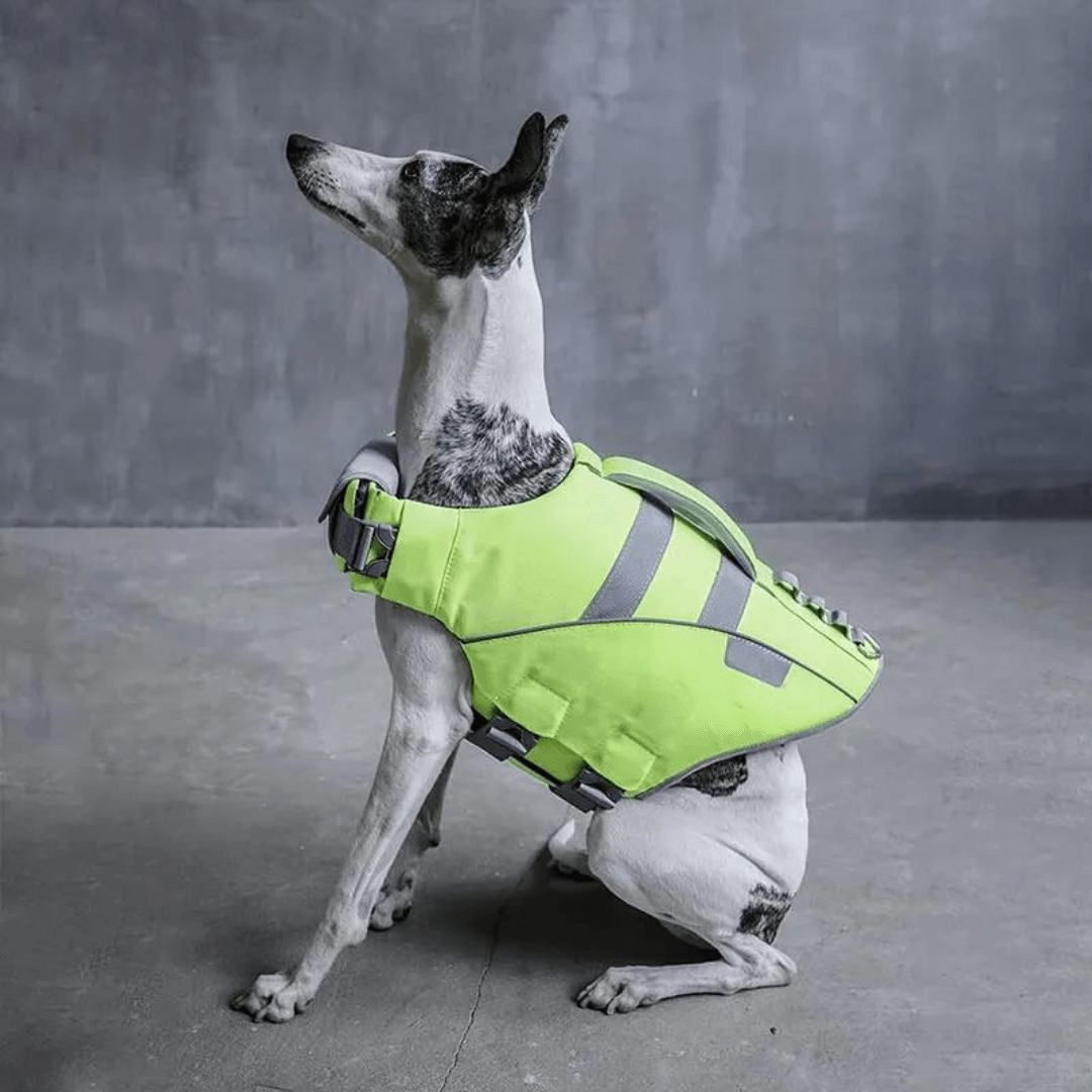 Paw Portal Köpek Can Yeleği - MeanYou